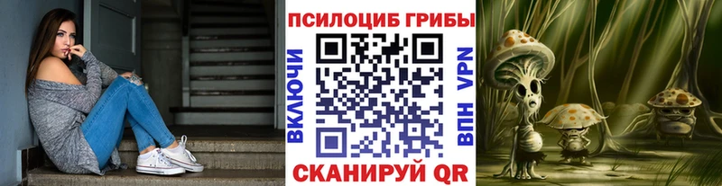 KRAKEN ссылки  Сунжа  Псилоцибиновые грибы прущие грибы  цены наркотик 